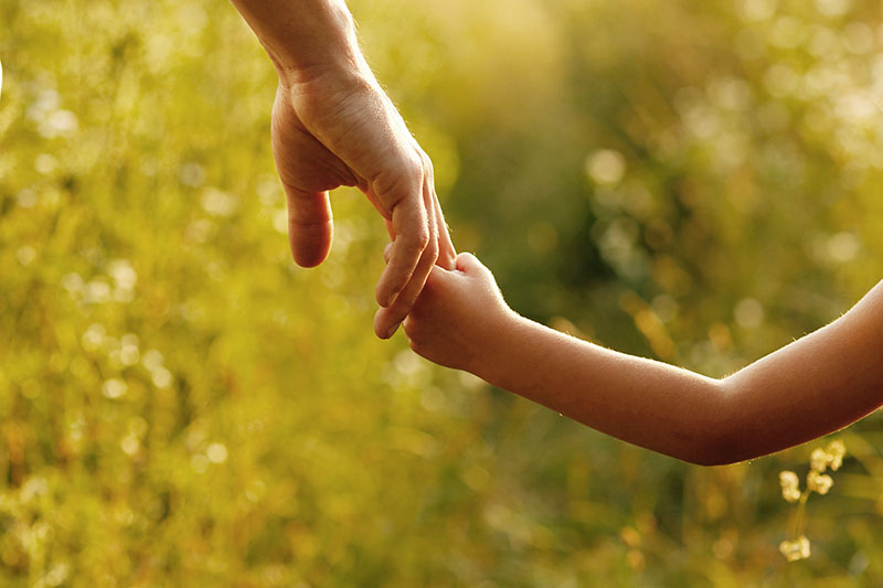 家族信託設定サポート（障害のある子向け）